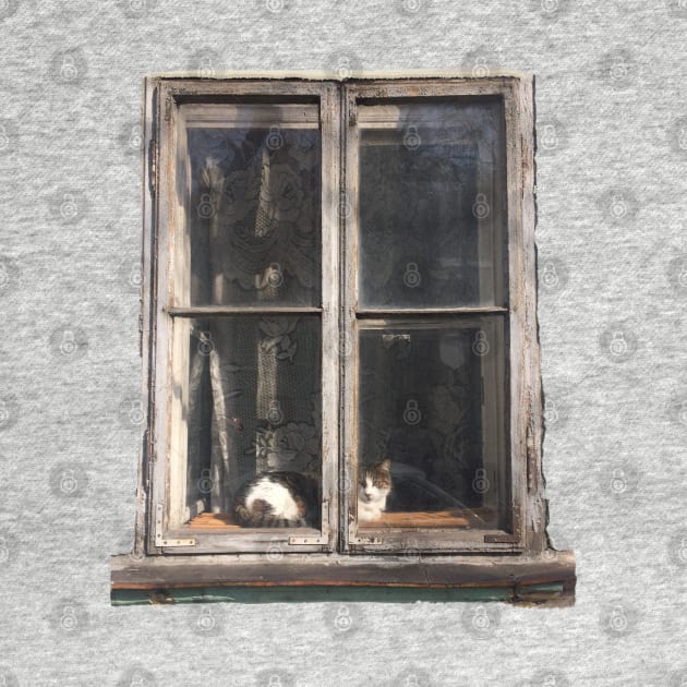 Window Cat by TenomonMalke